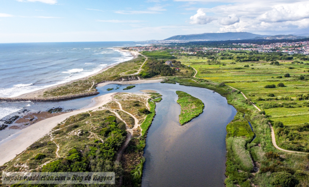 Mouth of Neiva River