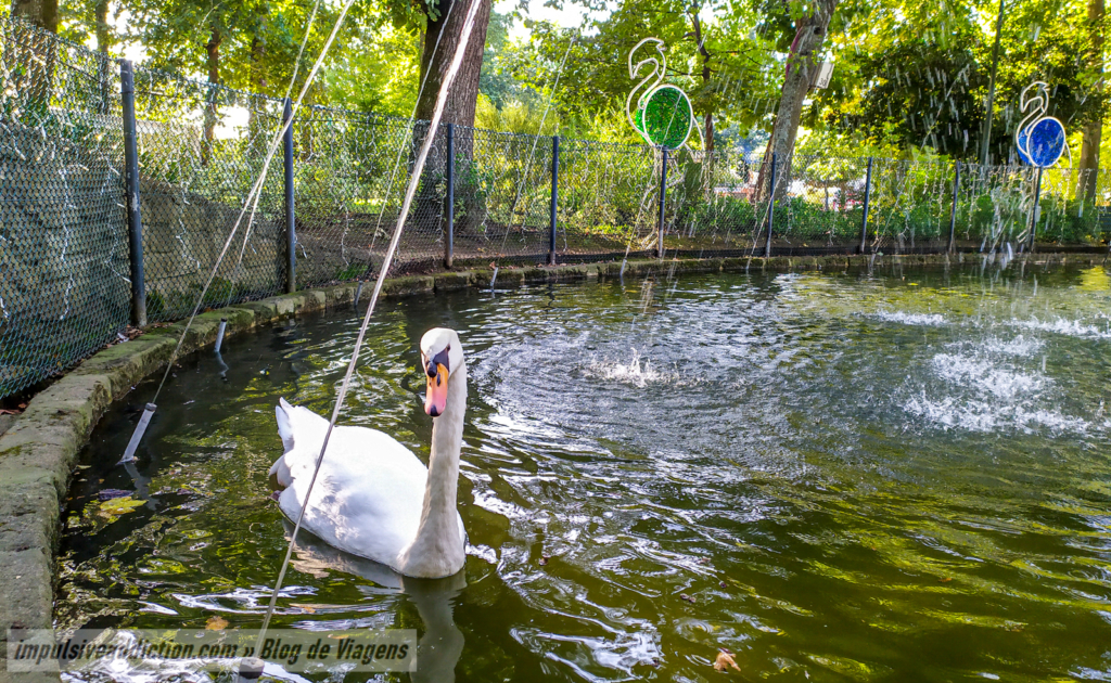 Lago do Parque Municipal de Barcelos