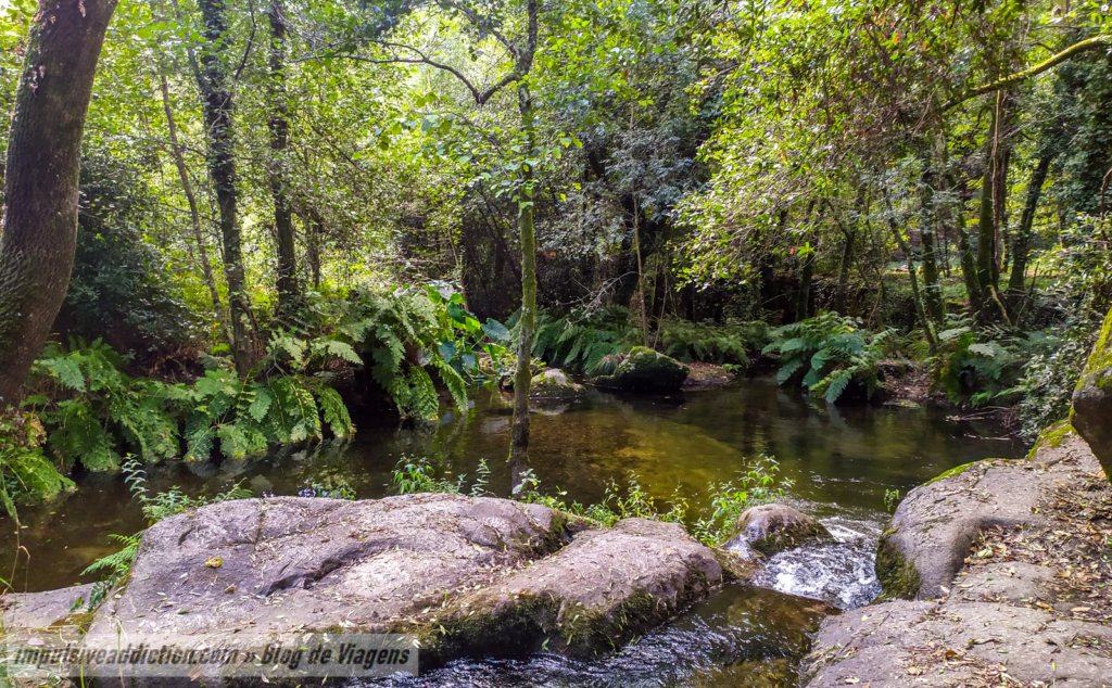 Lagoa do Perelhal