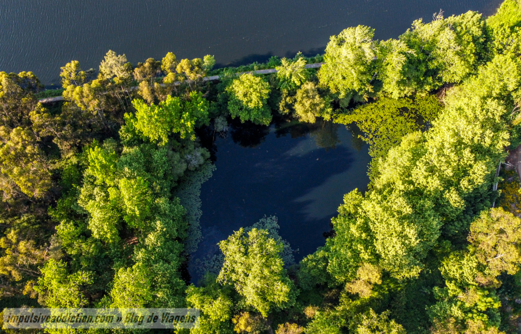 Uma das Lagoas do Marachão