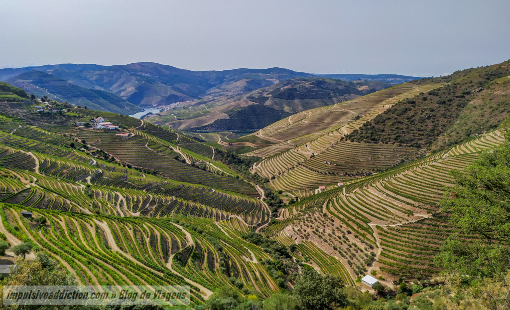 Abelheira Viewpoint | Douro Valley Itinerary