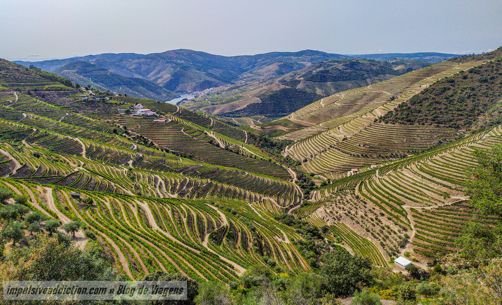 Paisagem do Douro - Miradouro da Abelheira