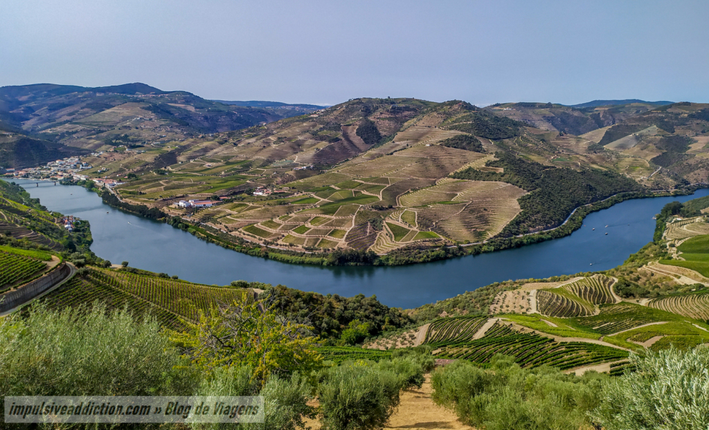 Carvalhas Viewpoint in Douro Valley on a day trip from Porto