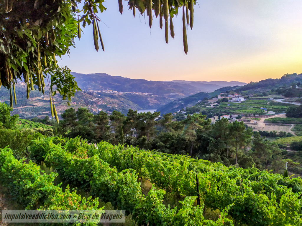 Miradouro dos Dízimos
