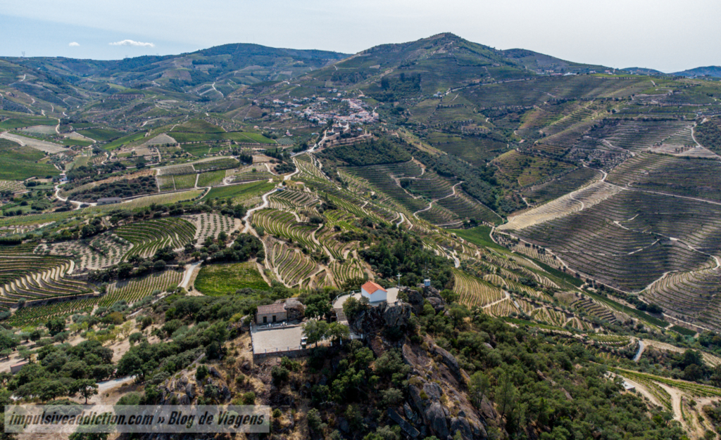 Paisagem vinícola da região (imagem de drone)