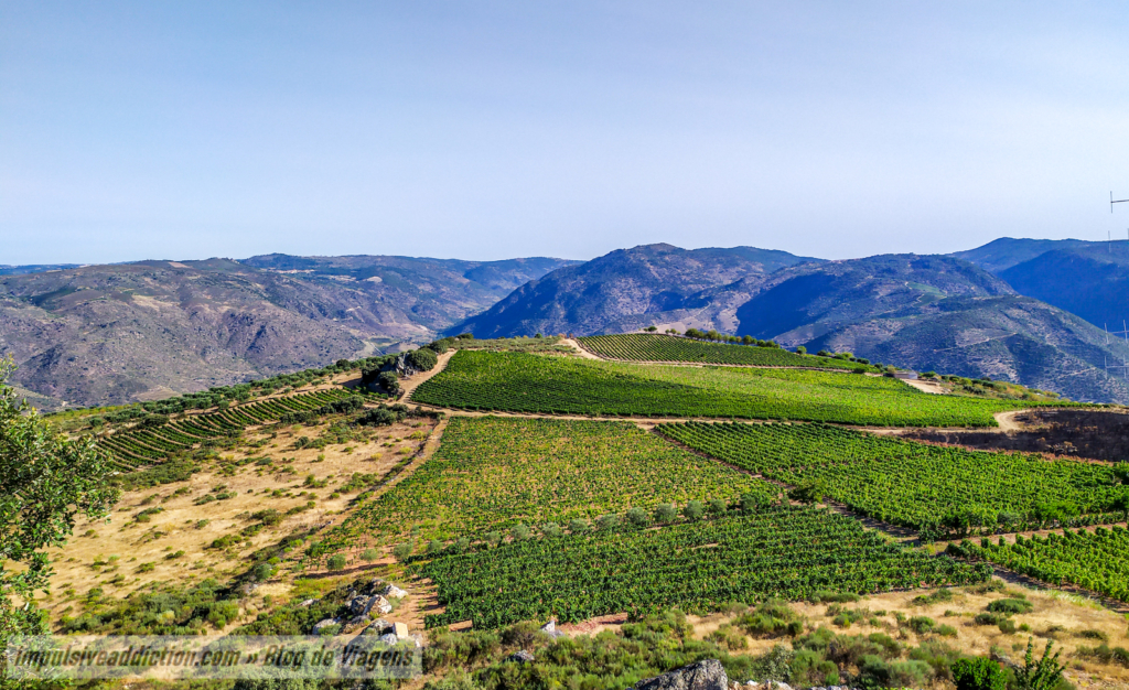 São Martinho Viewpoint | Douro Valley Vineyards