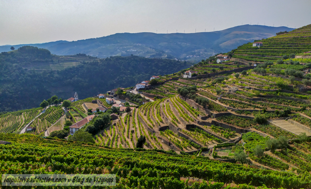 Vinhas em socalco do Miradouro da Senhora da Piedade