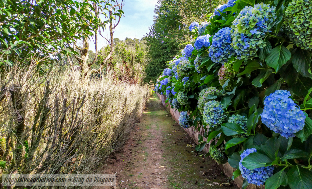 Jardins do Mosteiro de Tibães