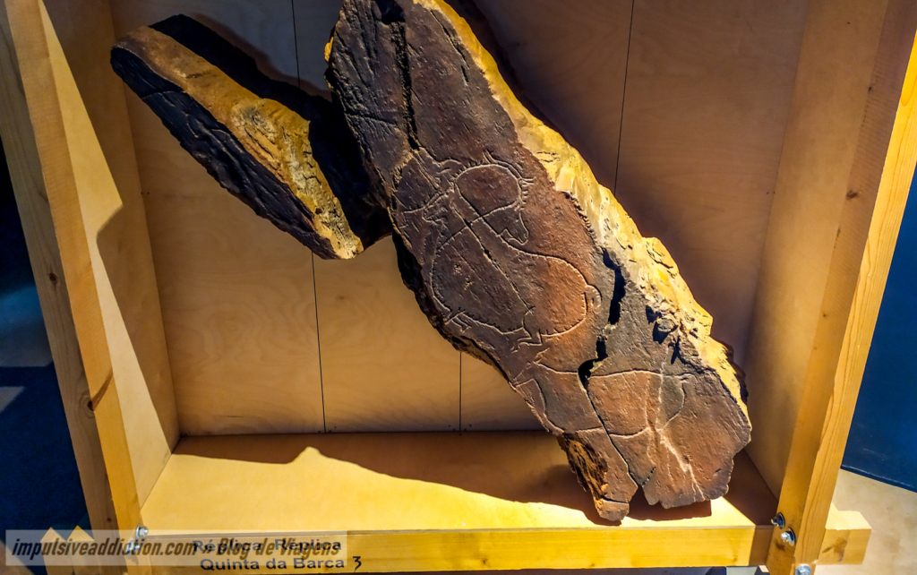 Replica of Rock Engravings at the Côa Museum