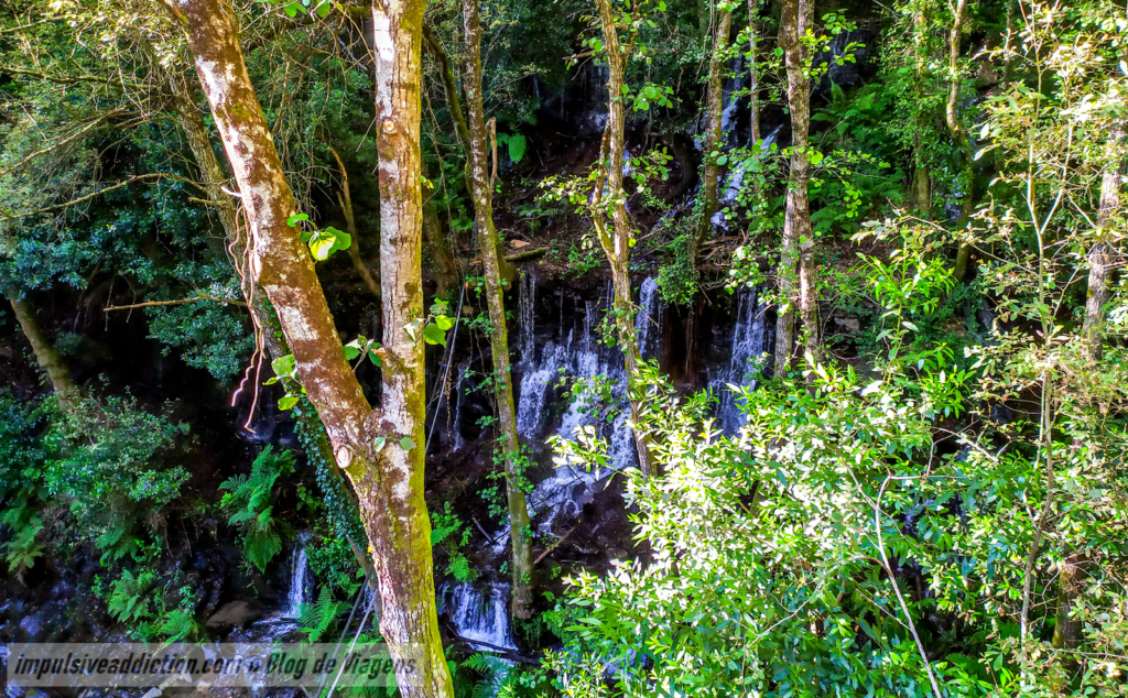 Parque de Nossa Senhora de Lurdes ao visitar Cinfães