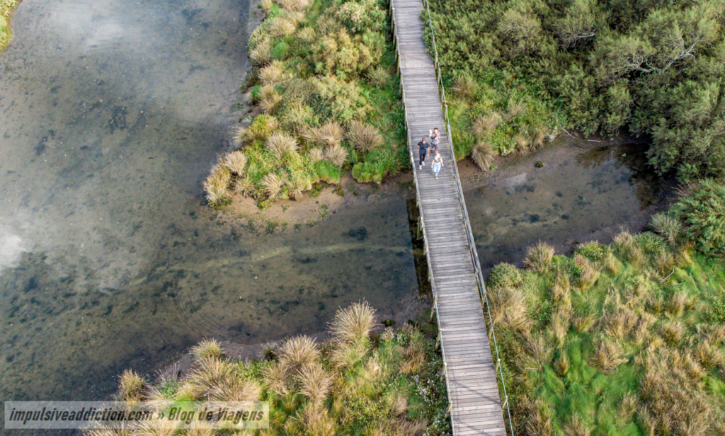 Wooden Walkways of the North Coast Natural Park