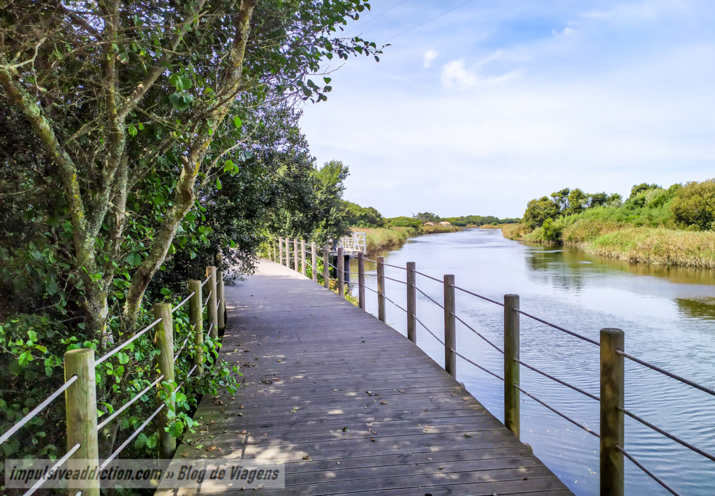 Wooden walkways close to Neiva River