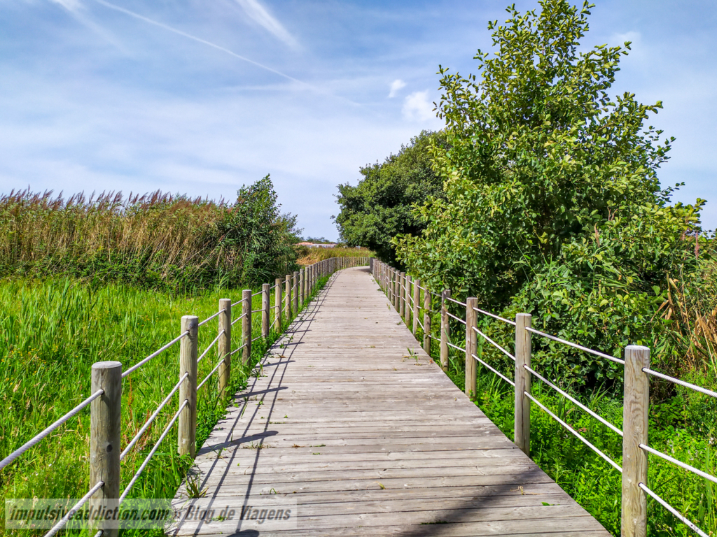 Wooden walkways close to Neiva River