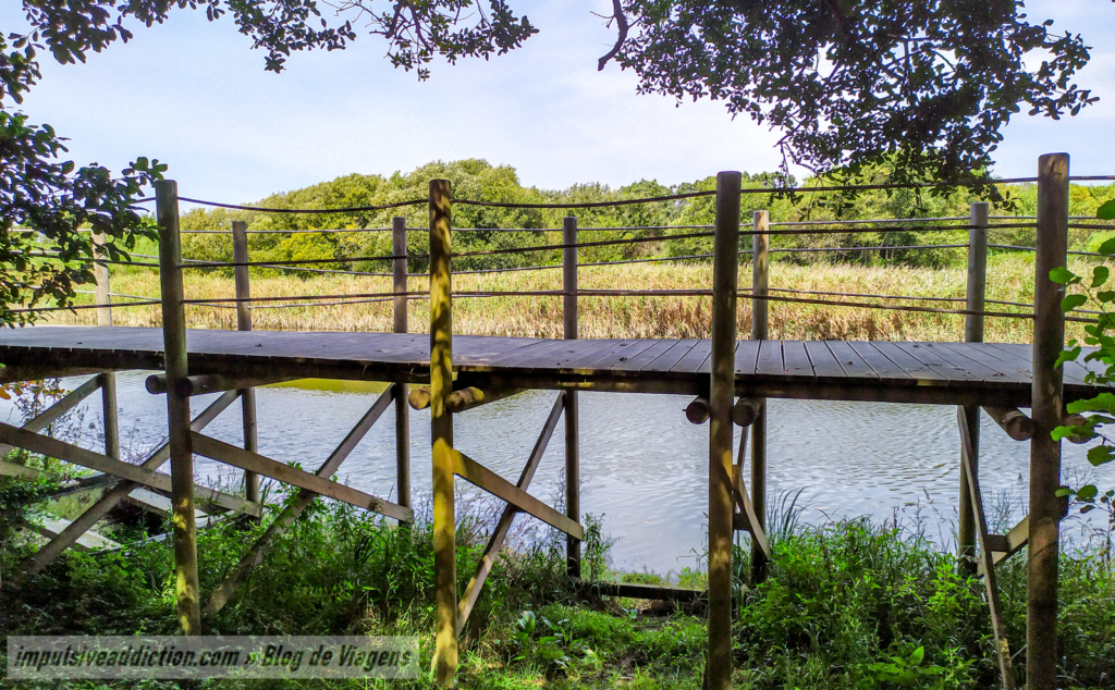 Wooden walkways close to Neiva River