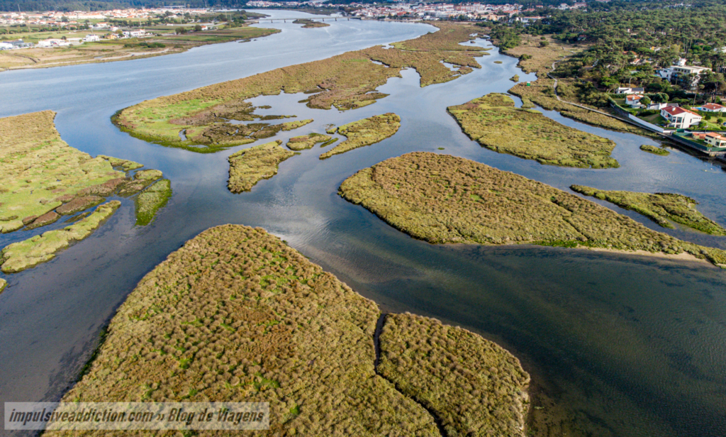 Mouth of Cávado River