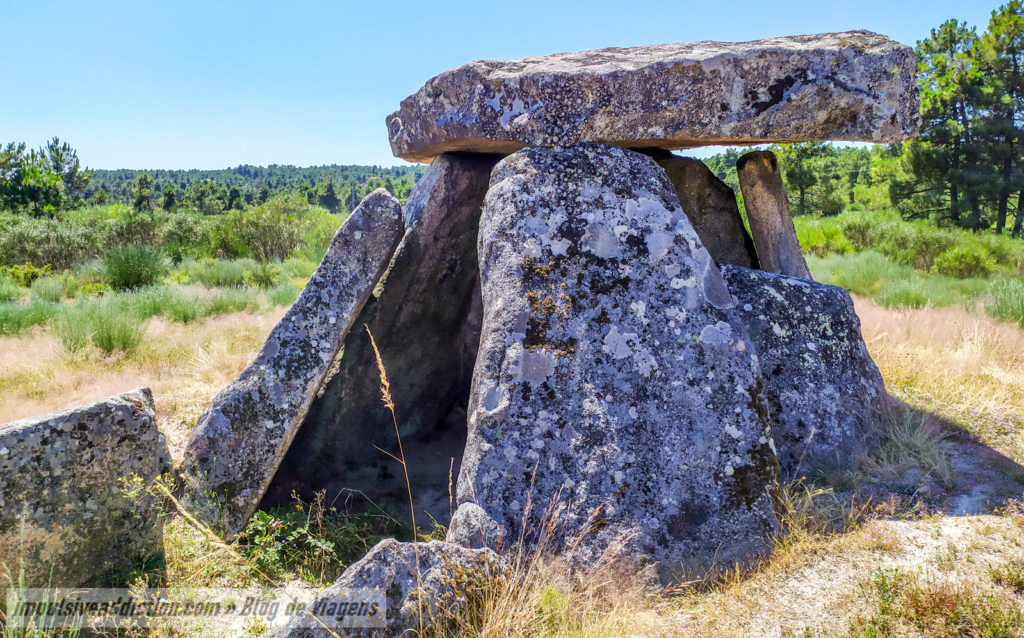 Anta da Fonte Coberta ao visitar Alijó