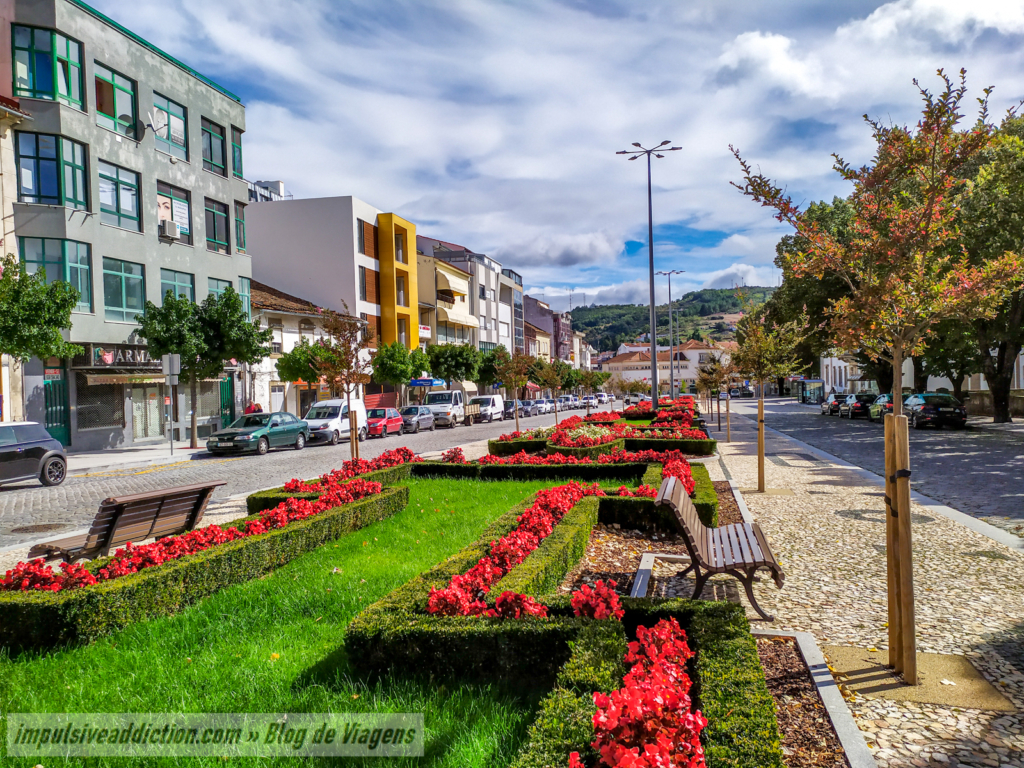 Avenida João da Cruz
