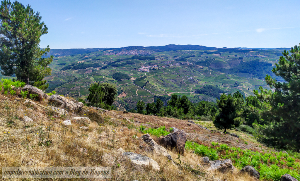 Ruínas do Castro de Sabrosa ou Castelo de Sancha