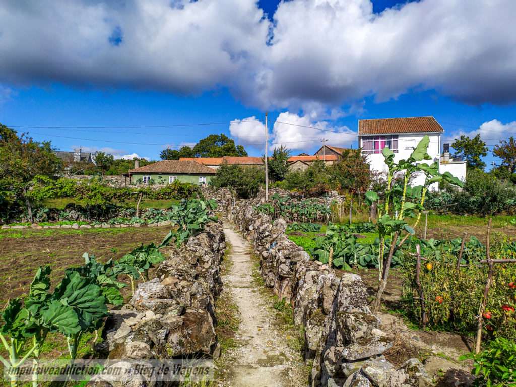 Aldeia de Moimenta da Raia