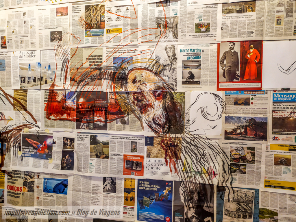 Museu de Arte Contemporânea de Graça Morais