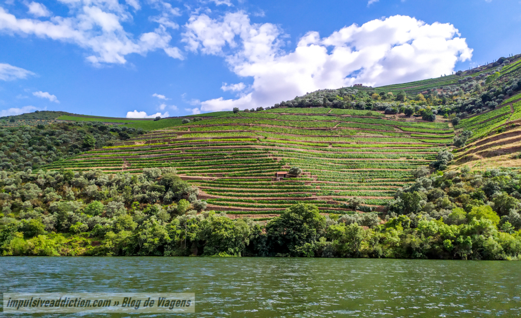 Passeio de Barco no Rio Douro a partir do Pinhão