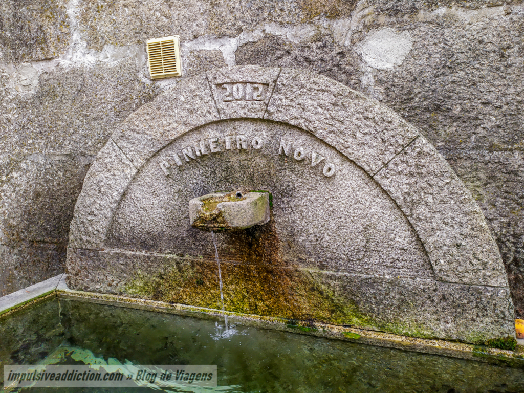 Fonte de Pinheiro Novo