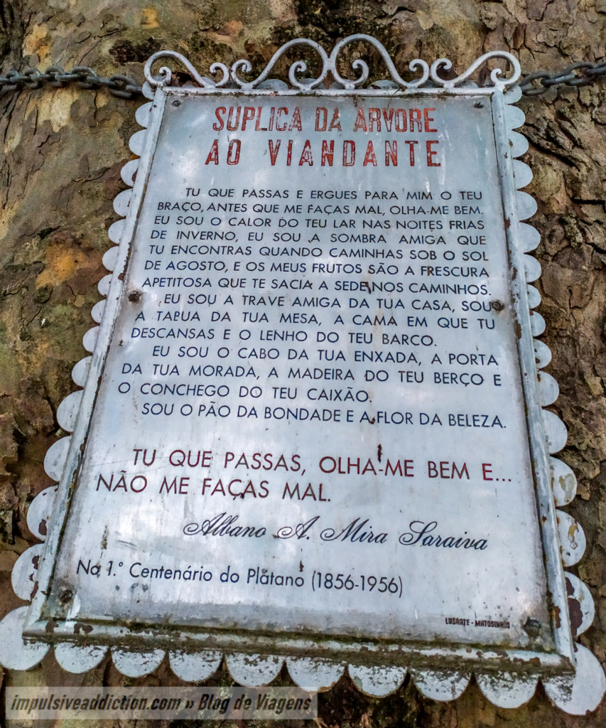 Súplica da Árvore ao Viajante