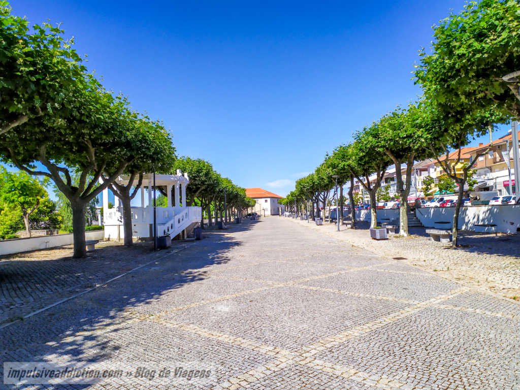 Avenida de Nossa Senhora do Caminho ao visitar Mogadouro