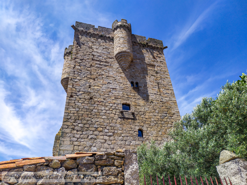 Castelo de San Felices de los Gallegos