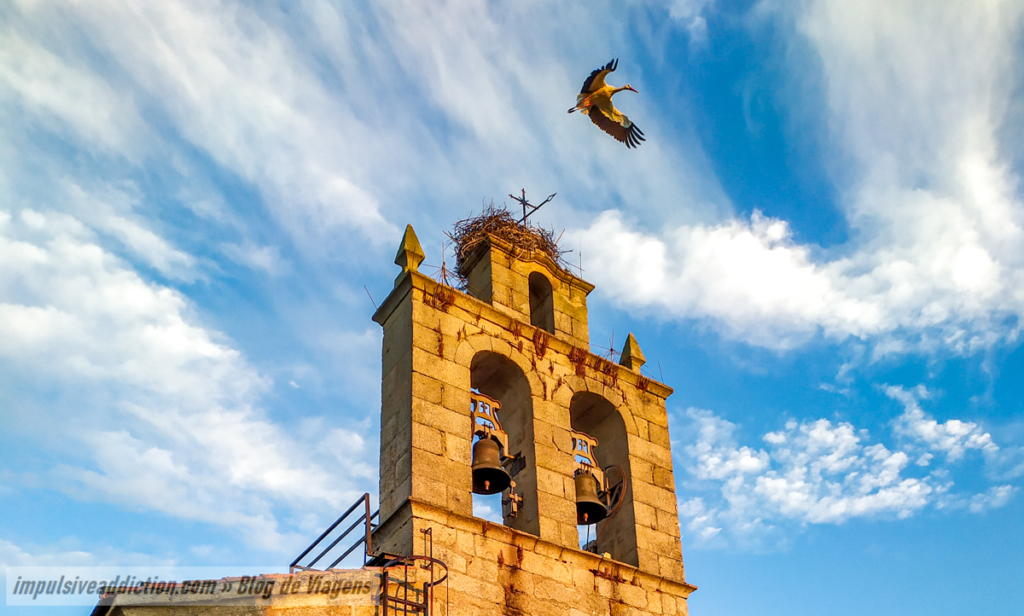 Cegonha com ninho na Igreja de Cerezal de Peñahorcada
