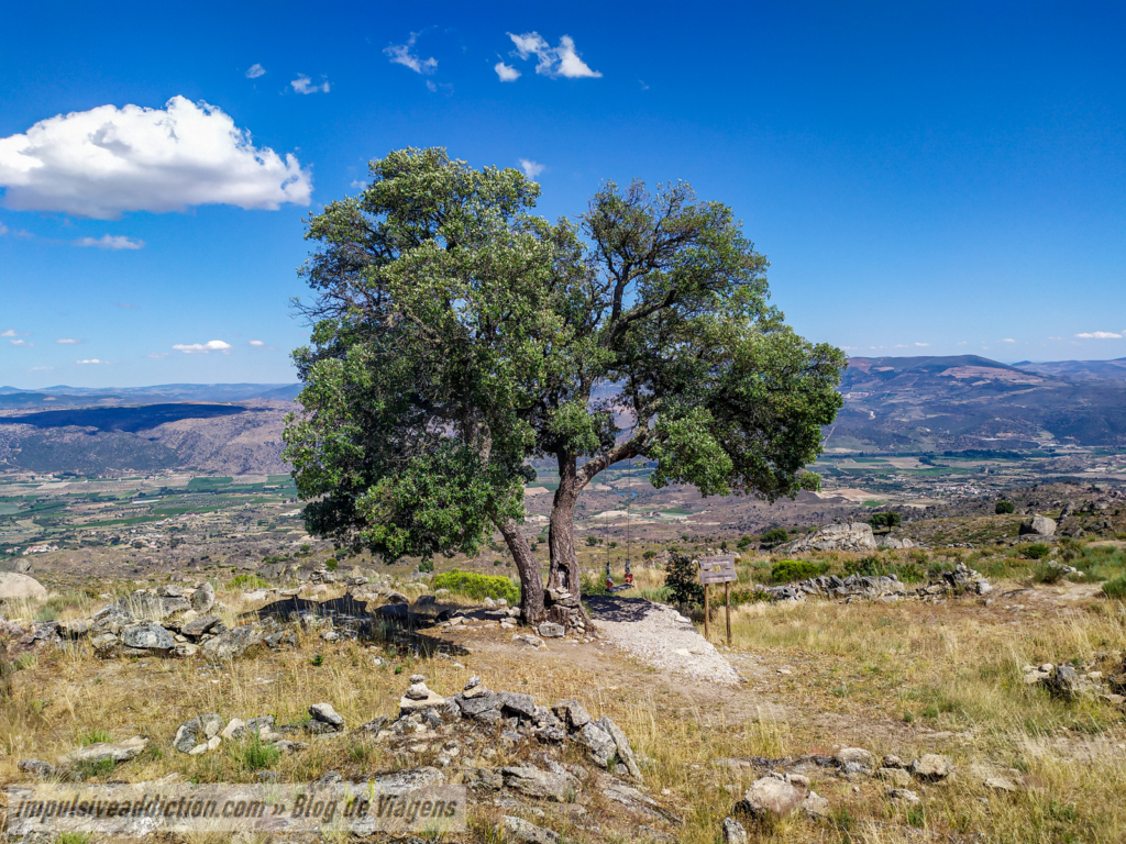 Baloiço do Sobreiro do Miradouro de Talegre