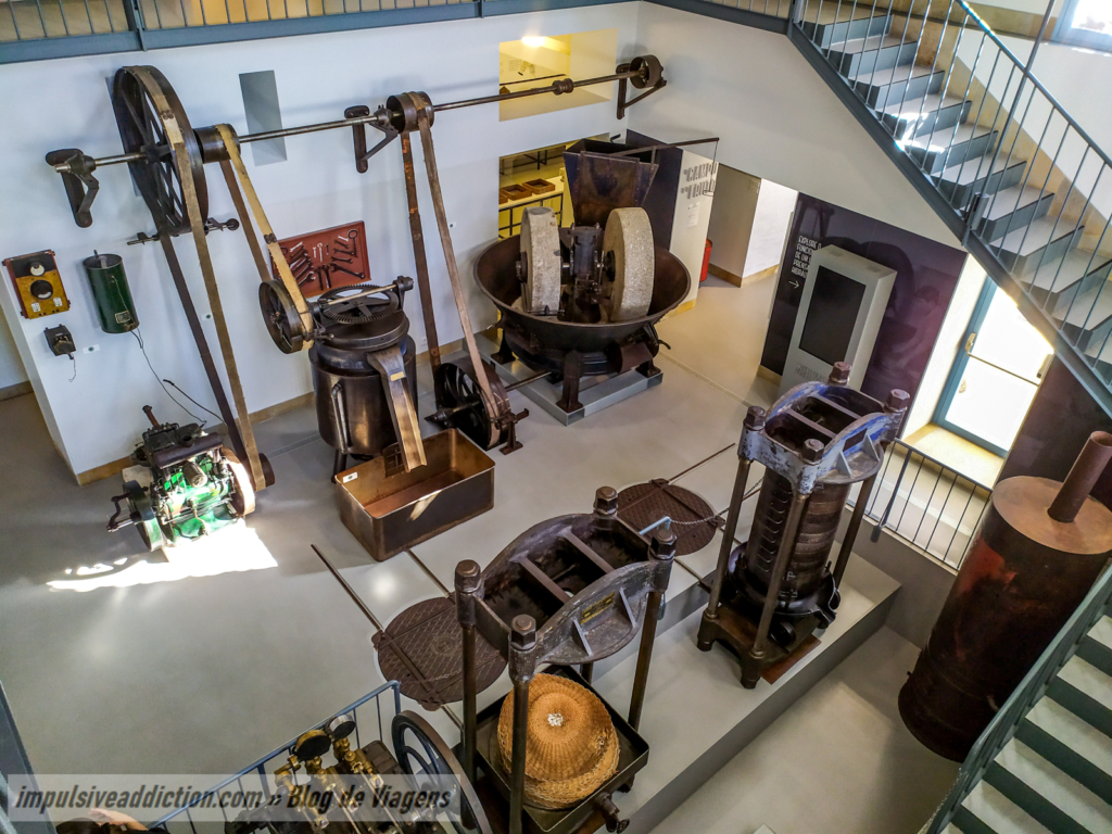 Museu da Oliveira e do Azeite