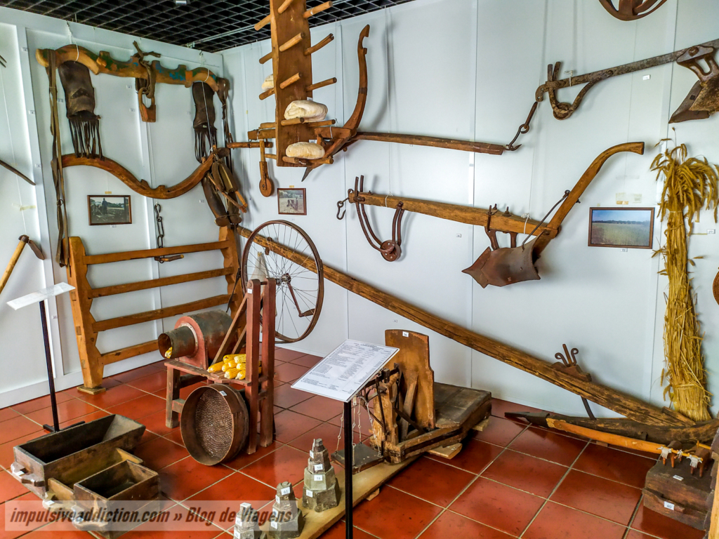 Museu Rural de Salselas