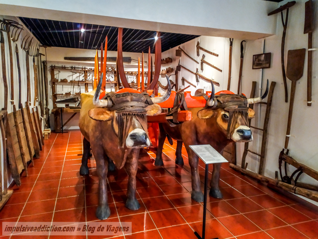 Museu Rural de Salselas