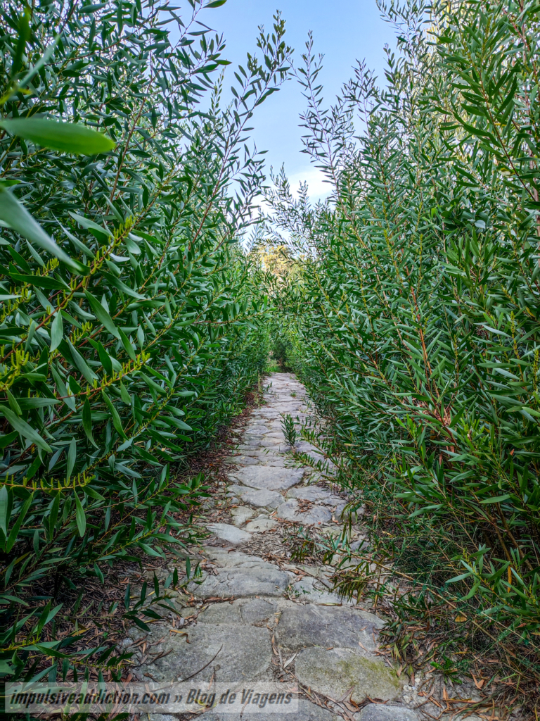 Access to the Convent of São Francisco do Monte