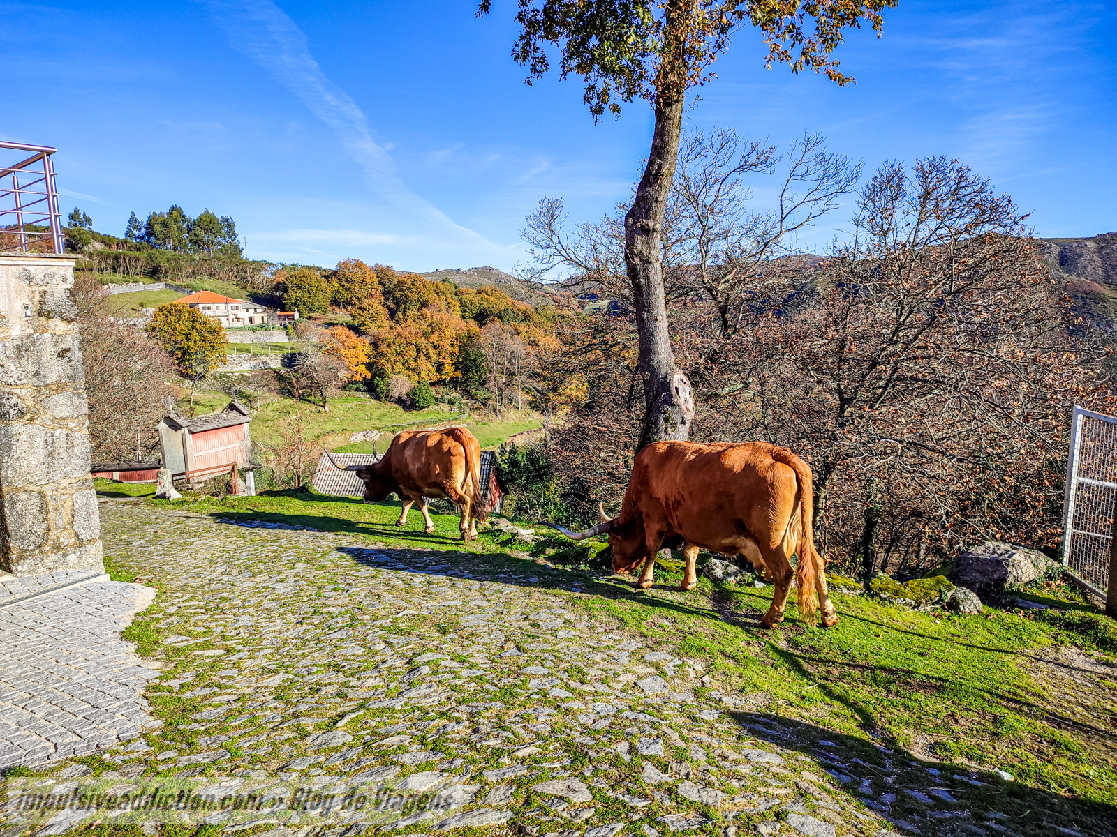 Aldeia de Bezeguimbra ao visitar Vila Verde