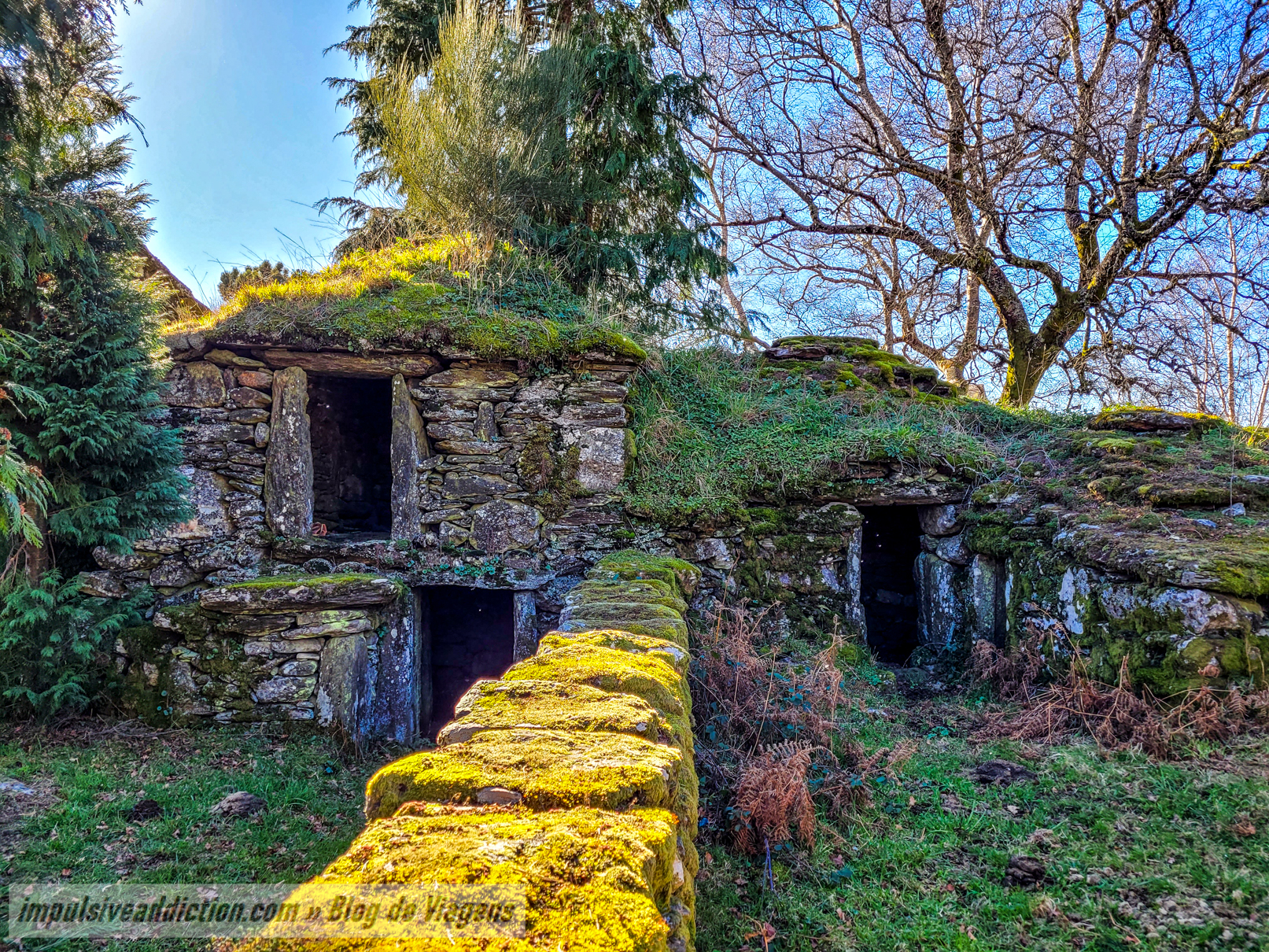 Branda de Santo António de Vale de Poldros