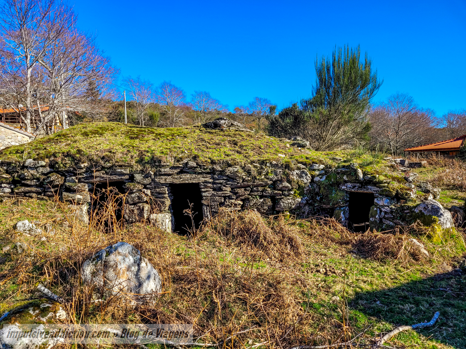 Branda de Santo António de Vale de Poldros