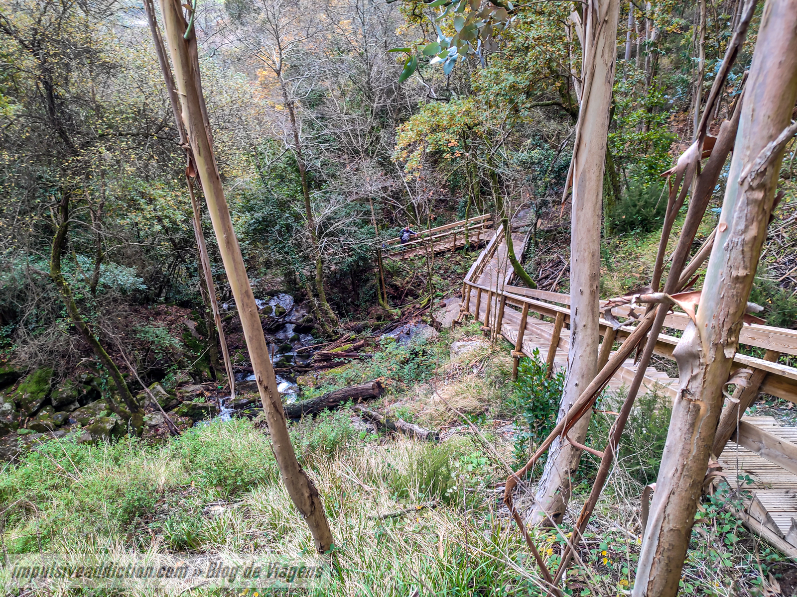 Access walkways to Rio Cabrão Waterfall