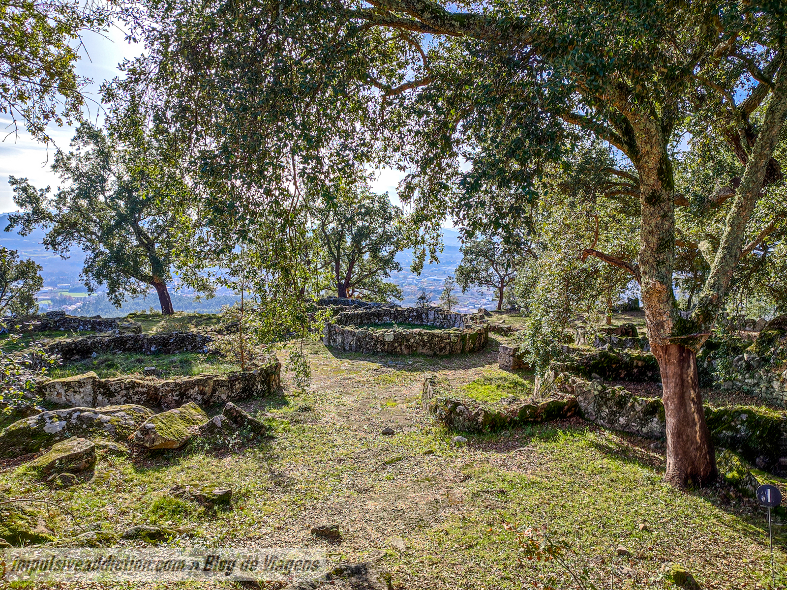 Citânia de Briteiros