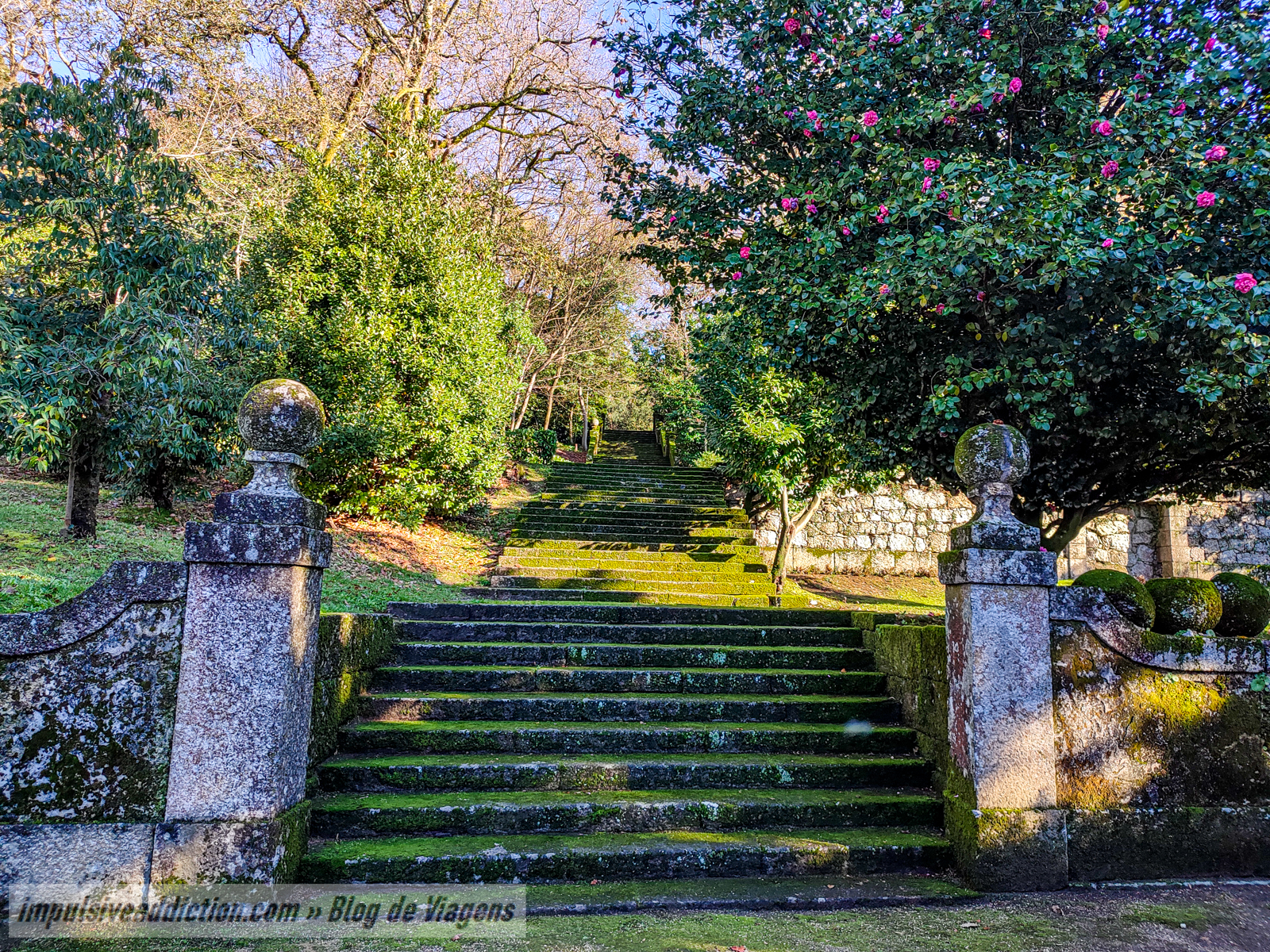 Jardim do Convento de Santa Marinha da Costa