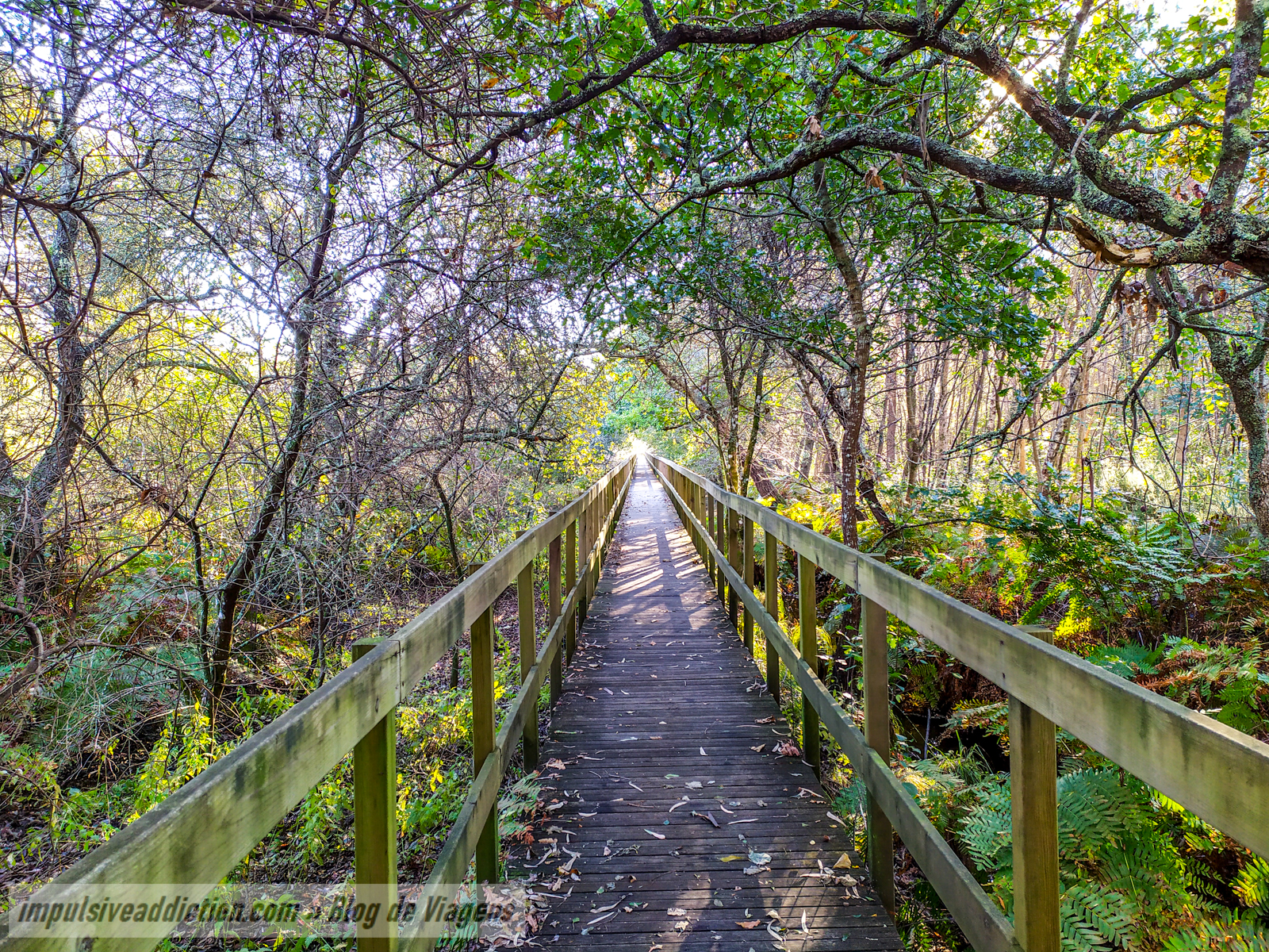 Walkways of Bertiandos Lagoons in Ponte de Lima