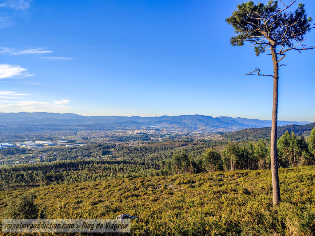 Taião Viewpoint