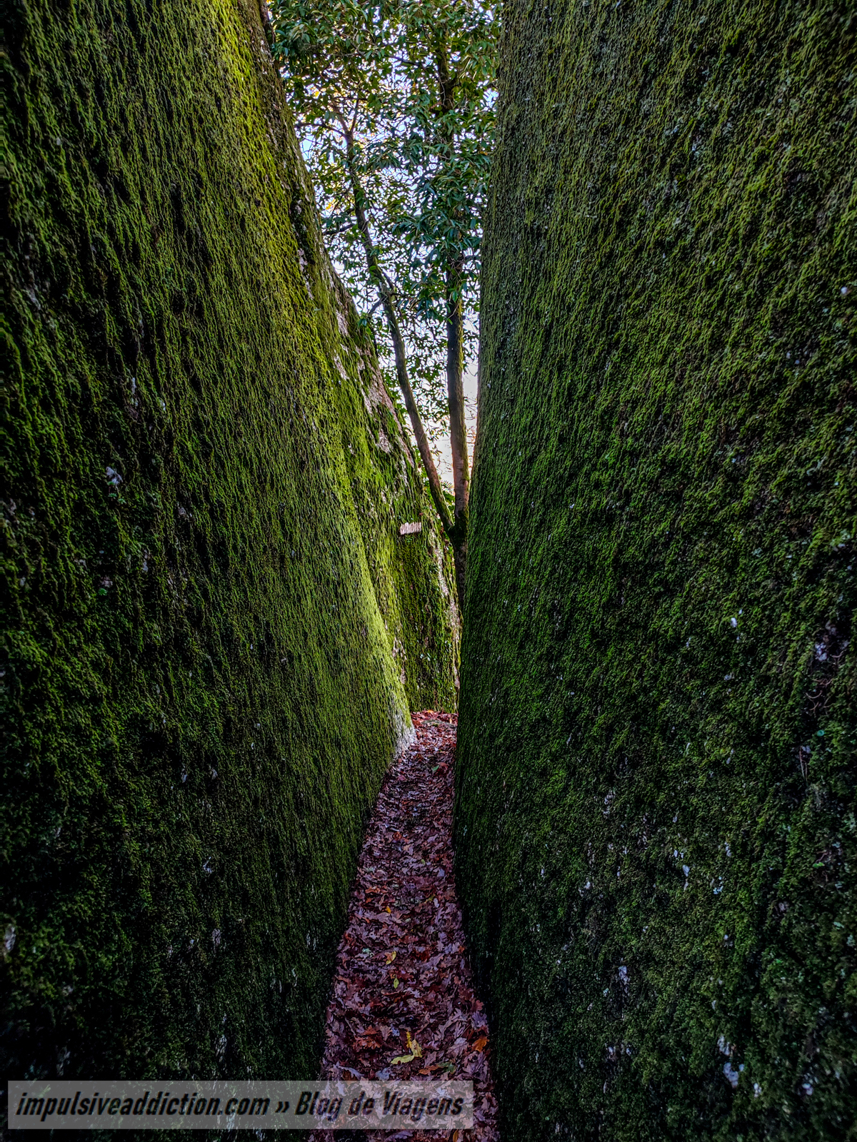 Detalhes do Monte da Penha, em Guimarães