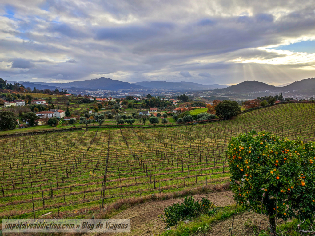 Vista a partir do Paço de Calheiros