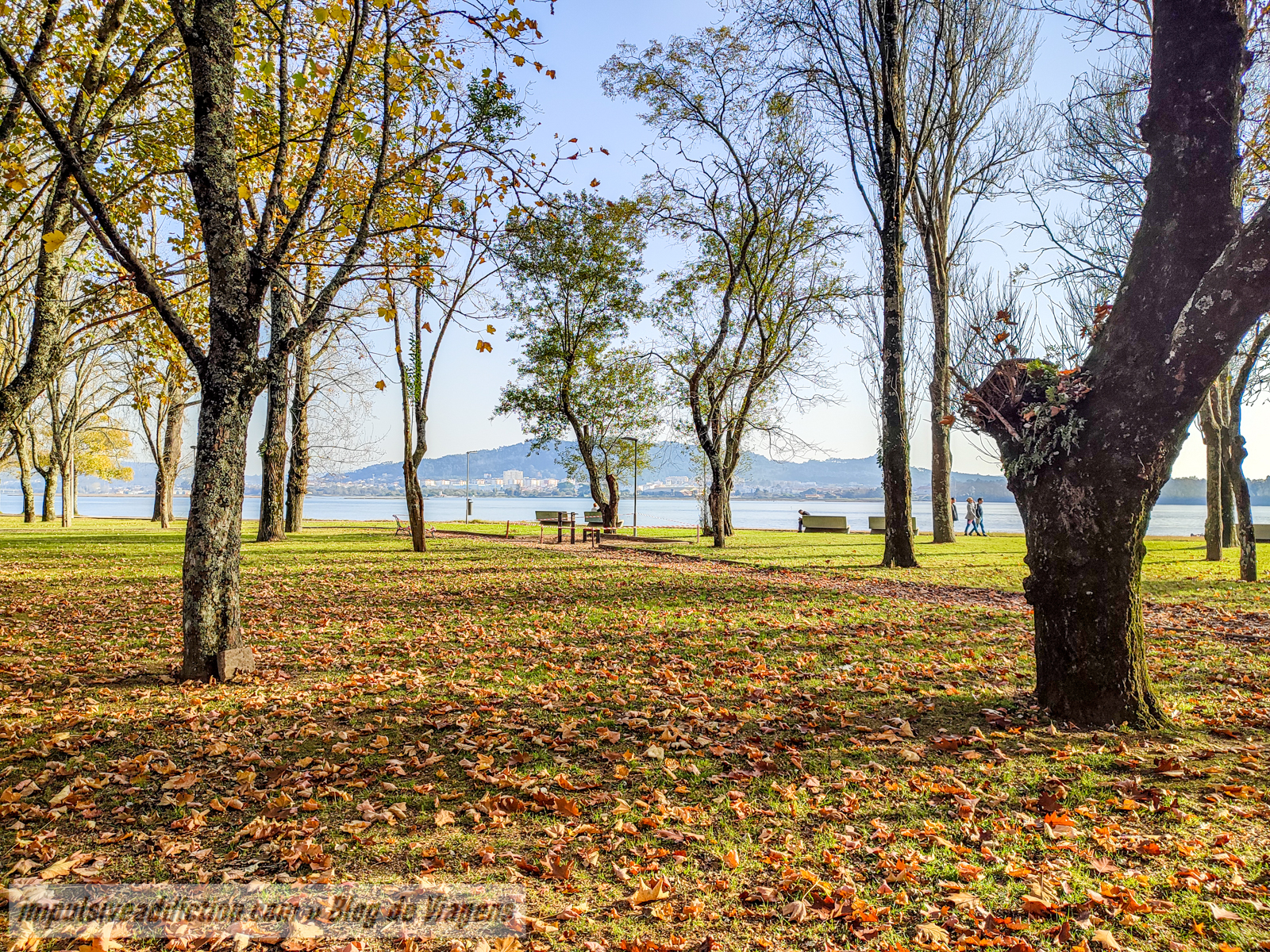 Viana do Castelo Urban Park