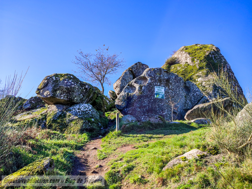 Penedo dos Ninhos