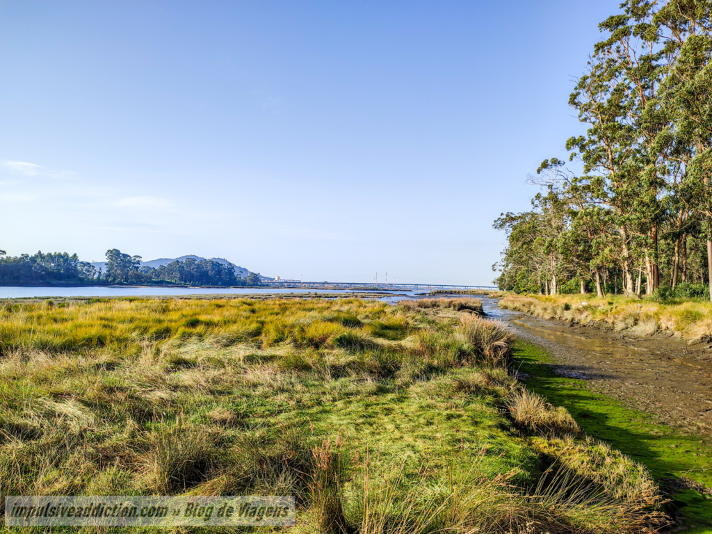 Lima River Landscapes