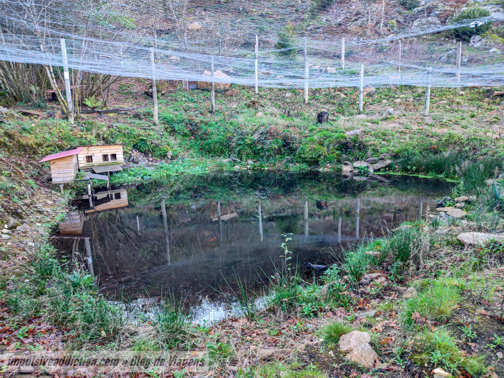 Enclosure of the Monastery of Sanfins