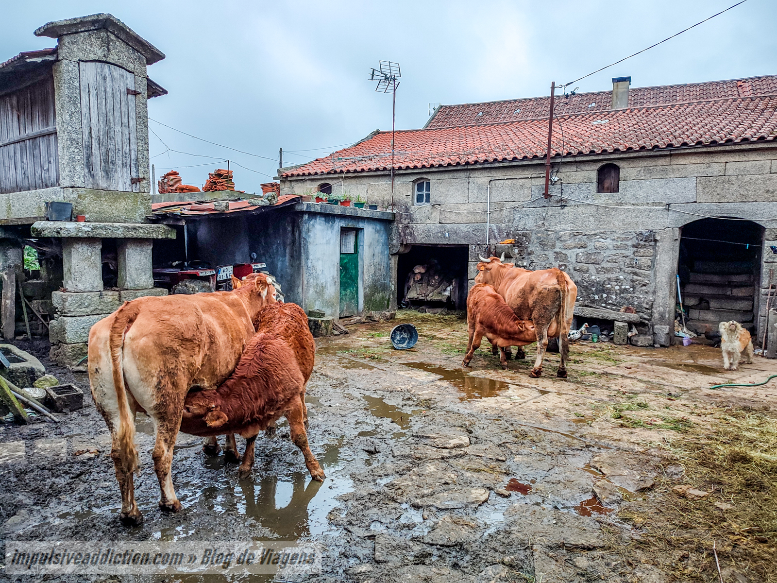 Aldeia de Agra em plena Serra da Cabreira